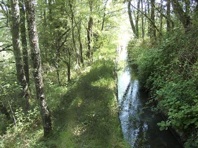 Ruta cercana
